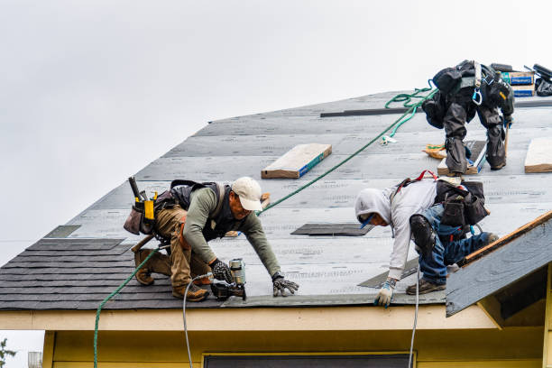 Professional Storm Damage Roof Repair technician working in Wheatland, WY